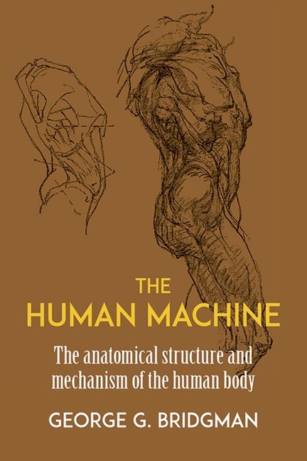 Human machine