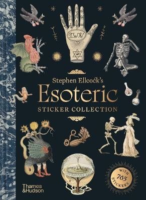 Stephen Ellcock