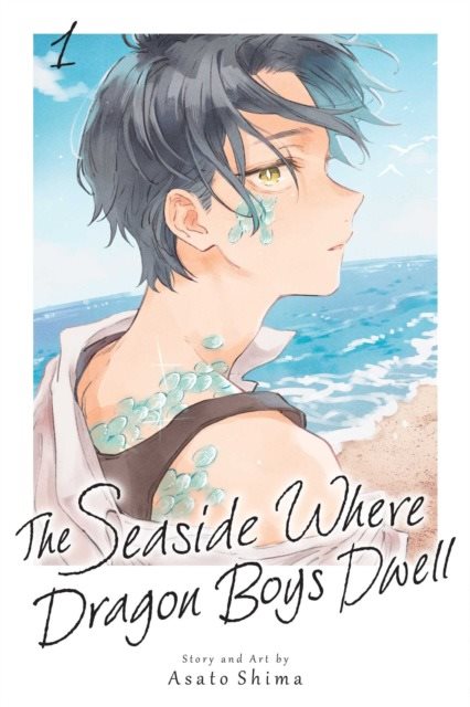 The Seaside Where Dragon Boys Dwell, Vol. 1: Volume 1