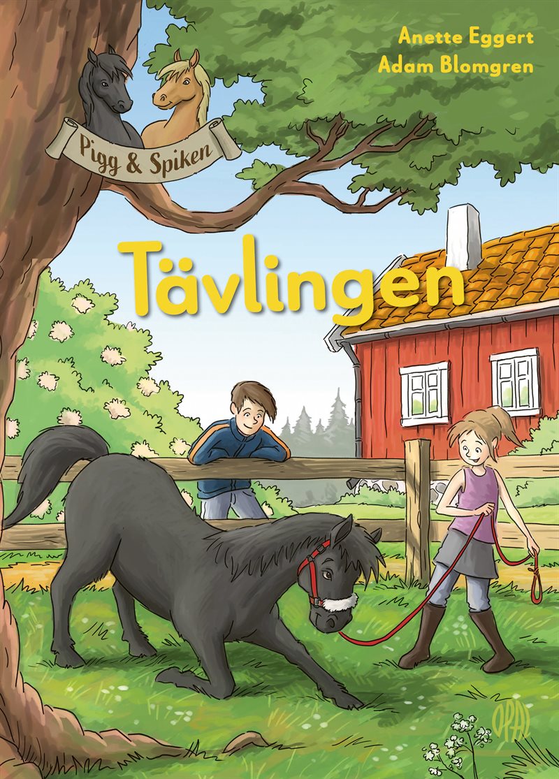 Tävlingen