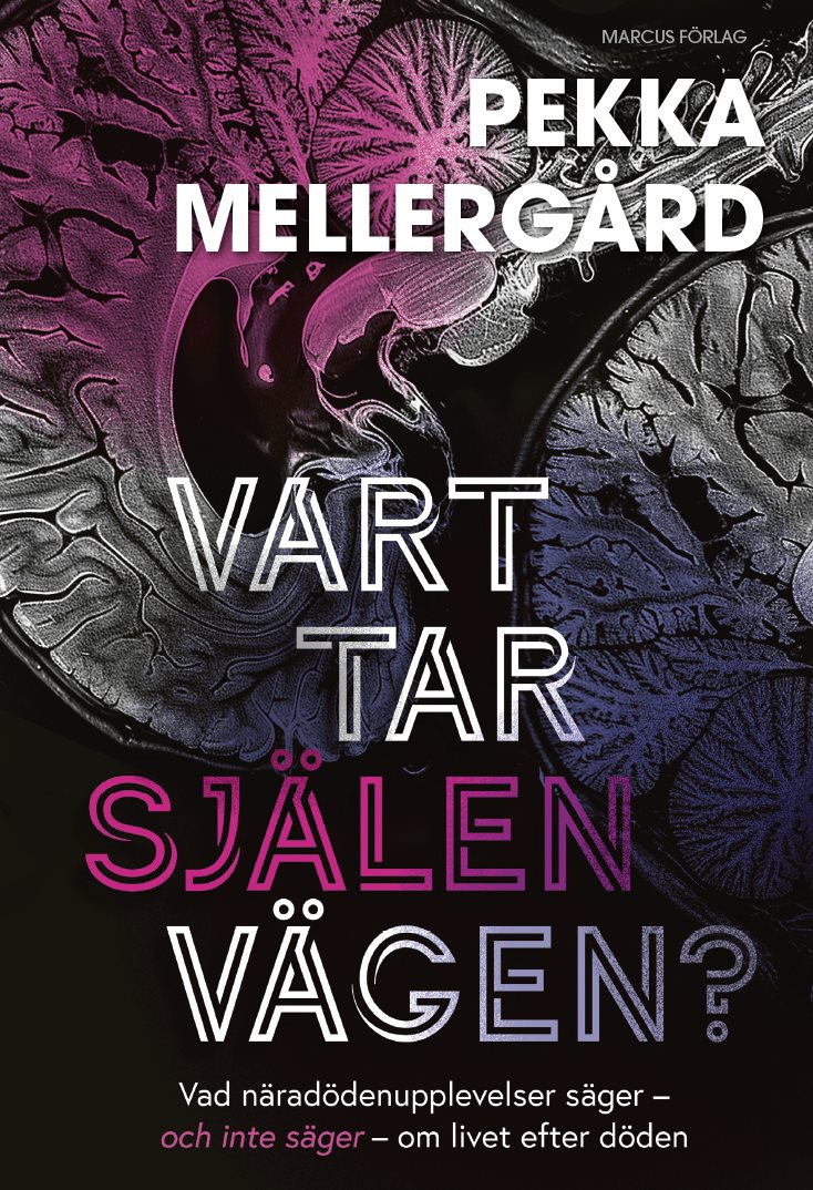 Vart tar själen vägen? : Vad näradödenupplevelser säger – och inte säger – om livet efter döden