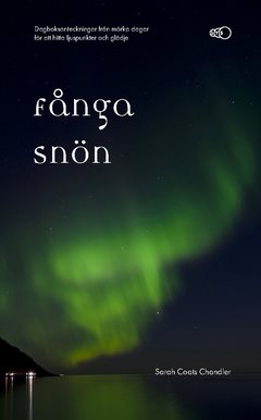 Fånga snön : dagboksanteckningar från mörka dagar för att hitta ljuspunkter och glädje