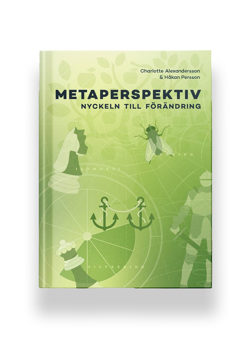 Metaperspektiv nyckeln till förändring