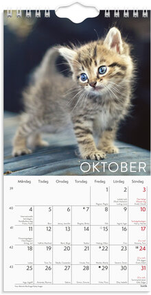 Väggkalender 2027 Liten Kattkalender